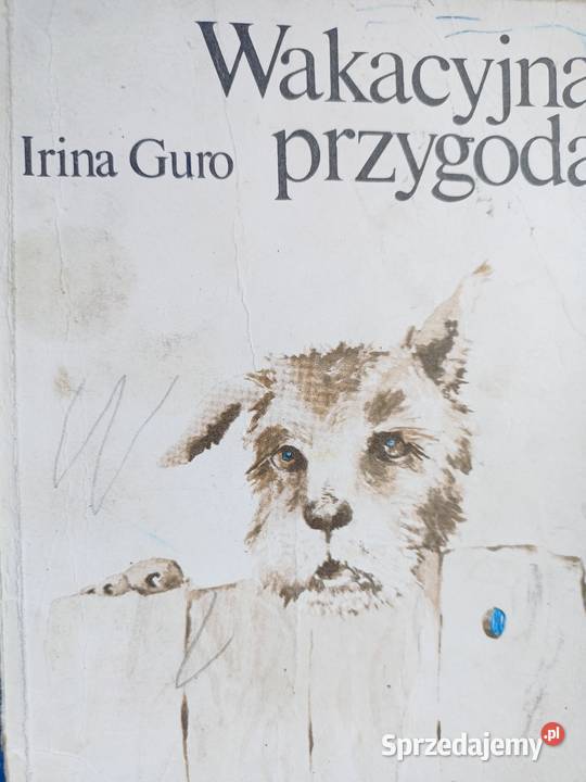 Wakacyjna przygoda książki Trójmiasto szkolne Gdańsk