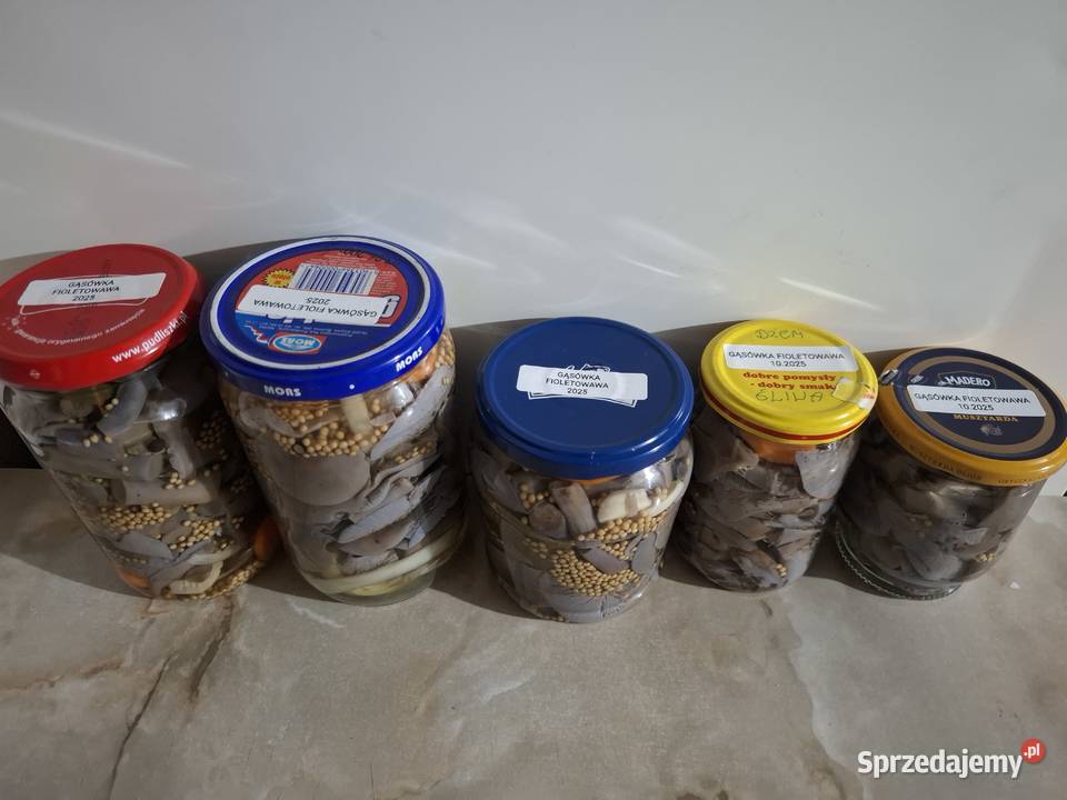 Rydze opieńki kanie gąsówki fioletowawe Czyżowice