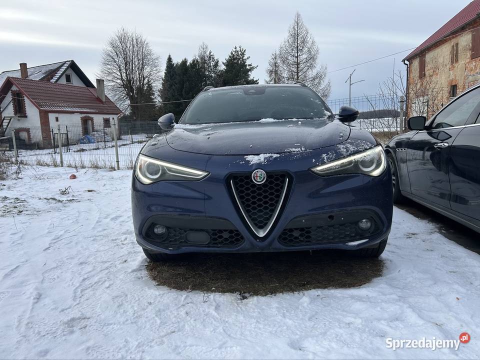 Alfa Romeo stelvio Stelvio dolnośląskie Legnica
