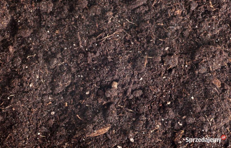 KOMPOST luzem kompostownik wywrotka czarnoziem Wiązowna