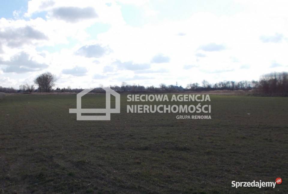 sprzedaży działki Grabno 12000m2