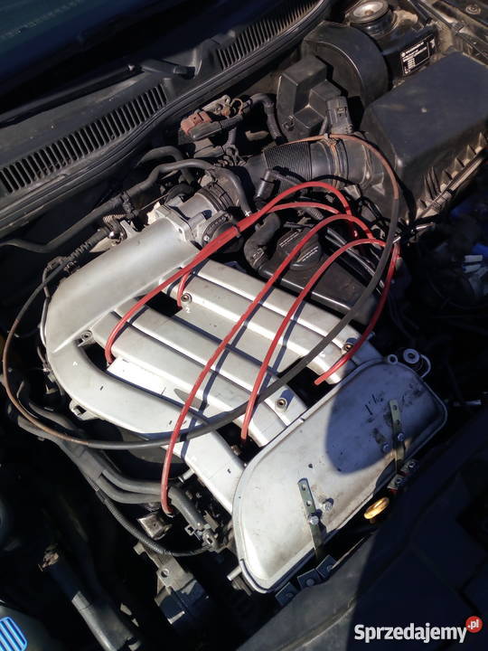 VW Golf MK4 23 VR5 kujawsko-pomorskie Ciechocin sprzedam
