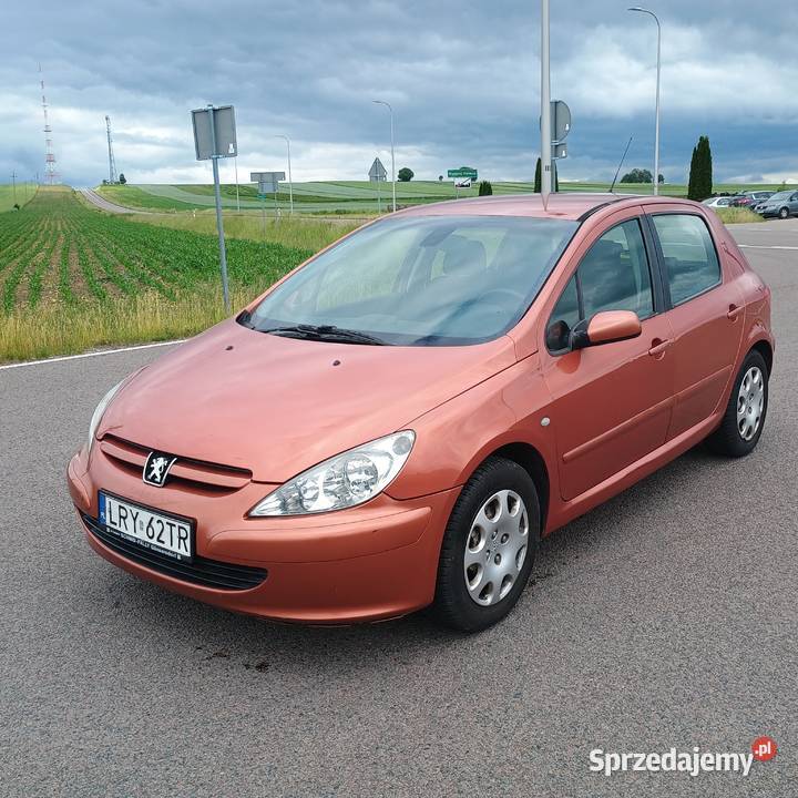 Peugeot 307 20 Diesel Sprzedaz Zamiana 307 Bychawa