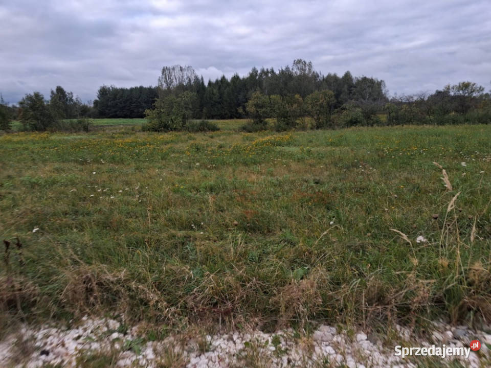 Działka budowlana SolecZdrój Solec-Zdrój sprzedam