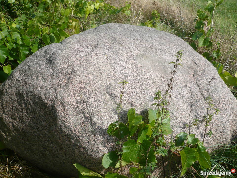 Głaz kamień średnica ponad 1 m Lubień