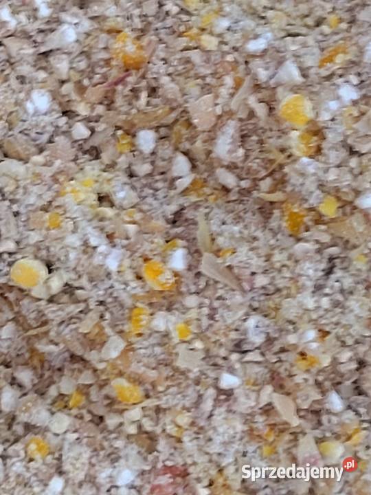 Karma pasza śruta kur 18 tygodnia Pozostałe sprzedam