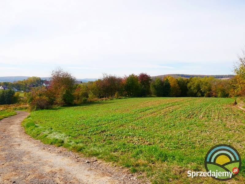 Radwanowice gm Zabierzów widokowa 53arowa sprzedam
