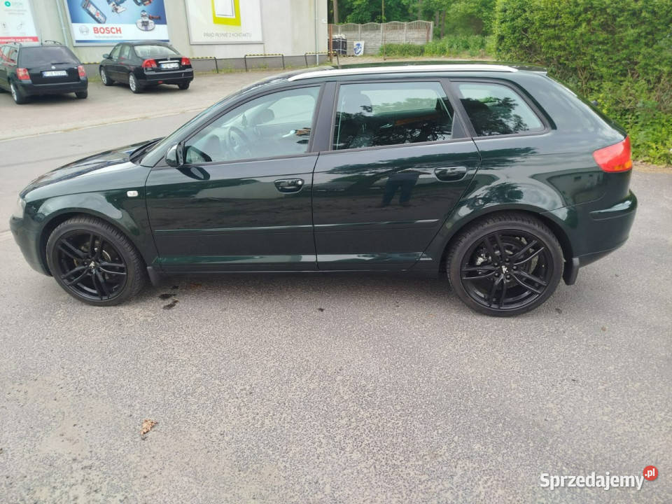 Audi A3 19 TDi Biksenon książka serwisowa 8P 276000km Jarocin
