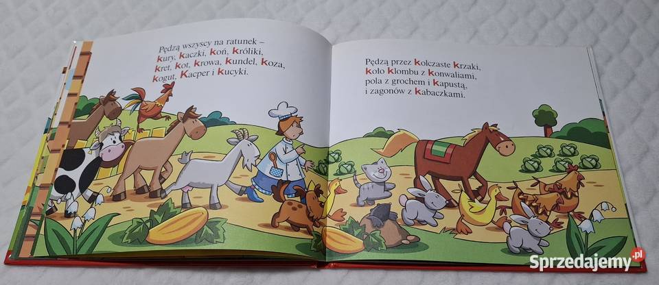 ABC Uczę się K krokodyl Strzałkowska Hachette