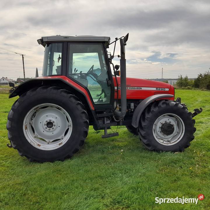 Massey ferguson 6290 wielkopolskie Buk sprzedam