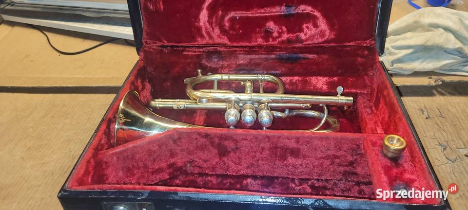 Kornet HawkesSon z 1930 roku fabryczny 5 Bąków