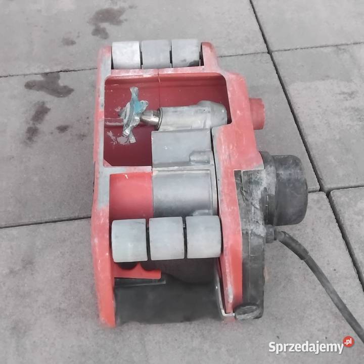 Bruzdownica kujawsko-pomorskie Brodnica