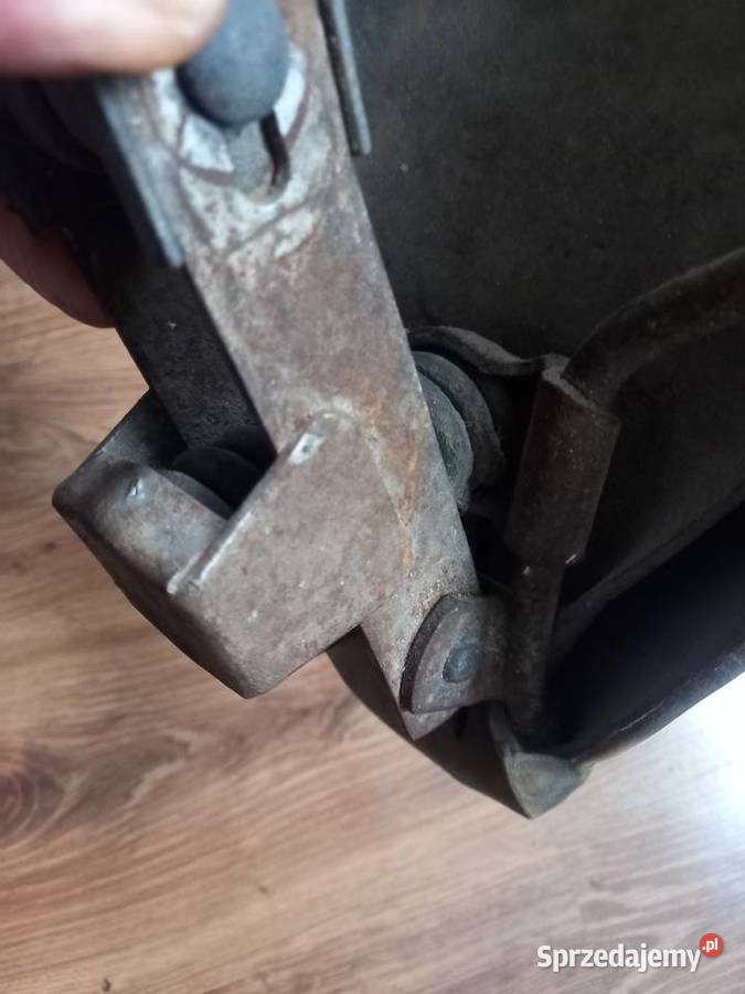 Siedzenie komar sztywniak Sokołów Podlaski