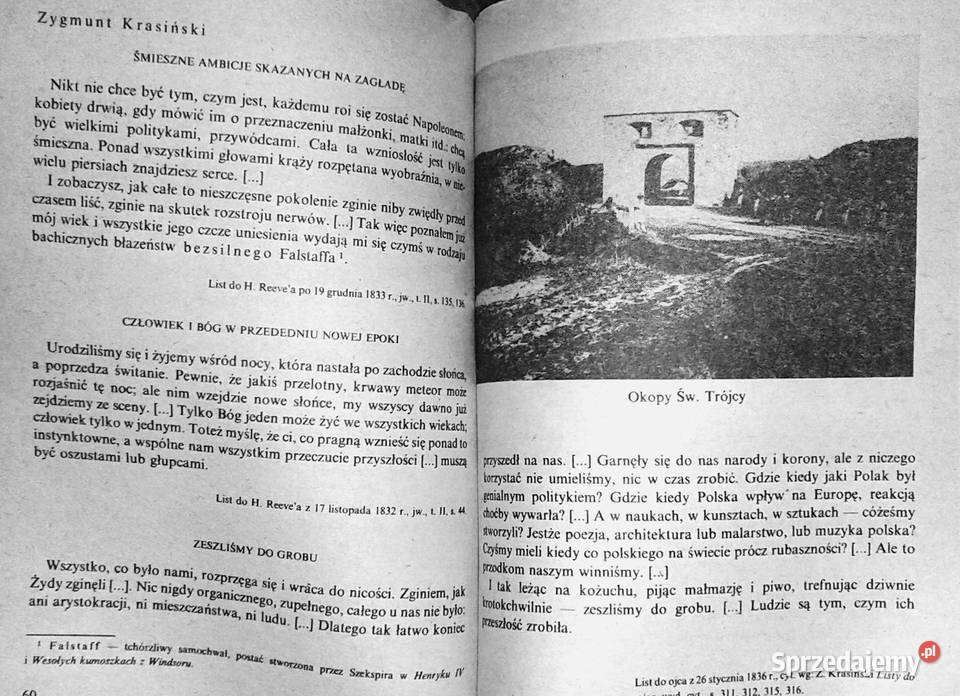 NieBoska komedia Zygmunta Krasińskiego Stanisław Chełm