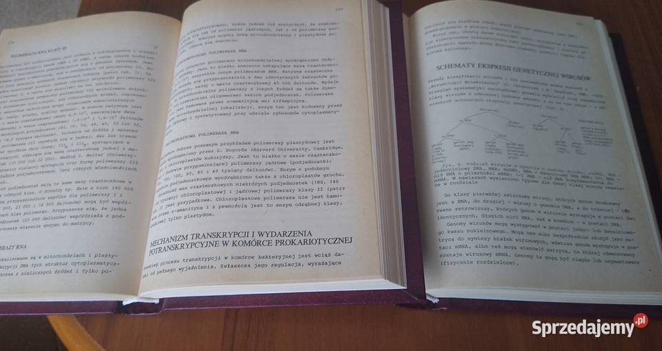Biologia molekularna informacja genetyczna 12 Gdańsk