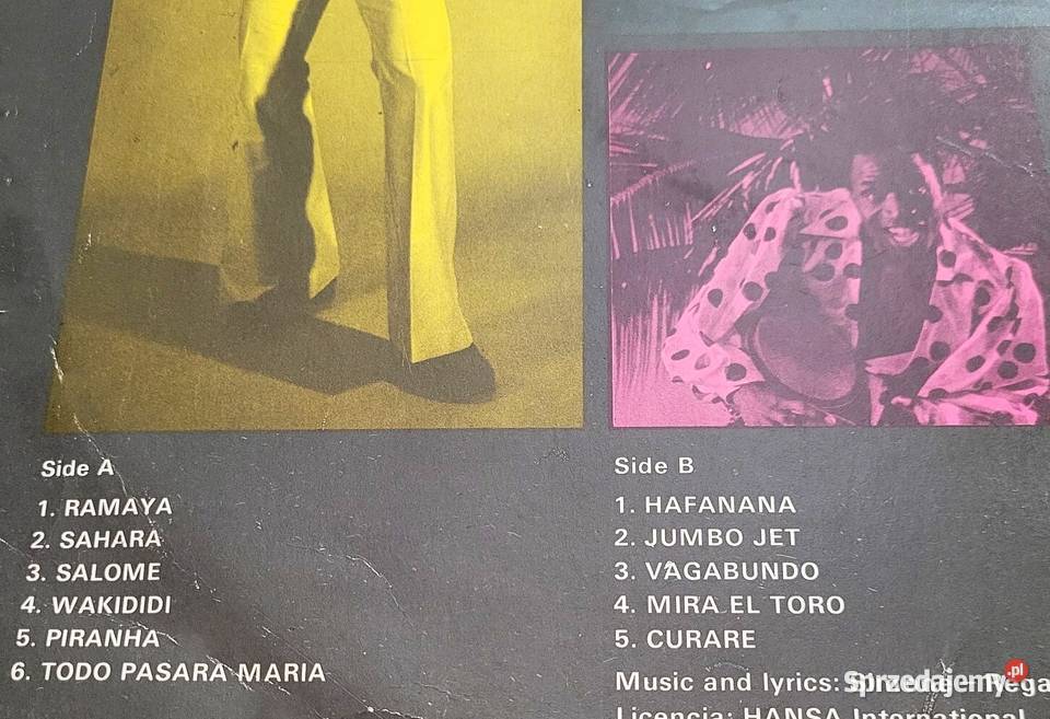 Afric Simone płyta winylowa z roku 1978 Płyty i kasety Chełmno