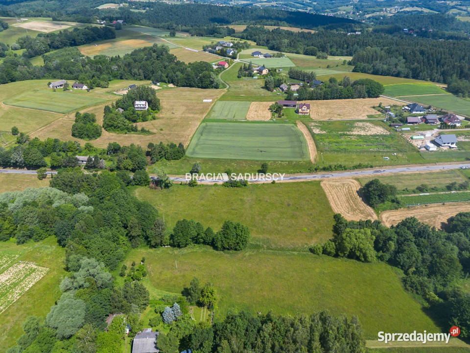 Działka 12200m2 Rzepiennik Strzyżewski Sprzedaż