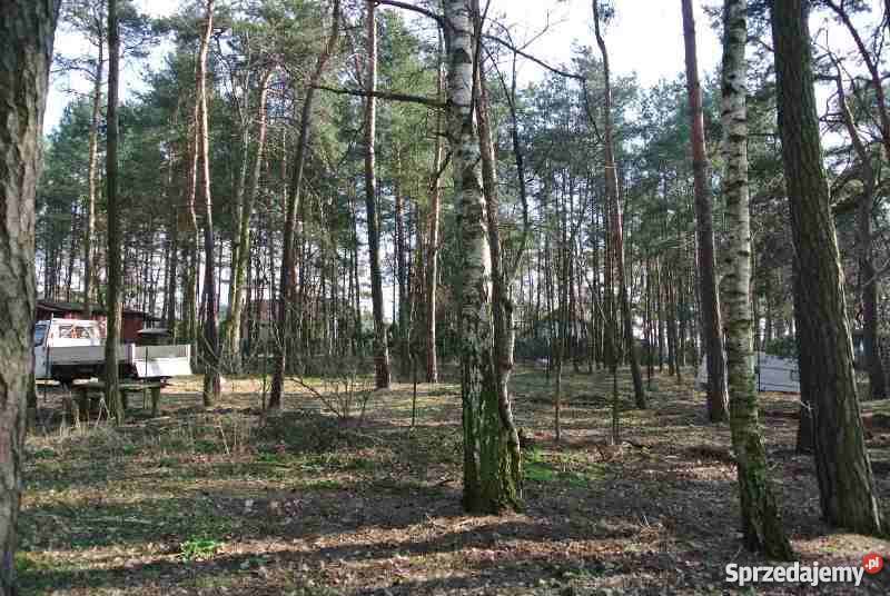 Sprzedam działkę rekreacyjną jeziorem w gminie Grunty i działki wielkopolskie Ślesin