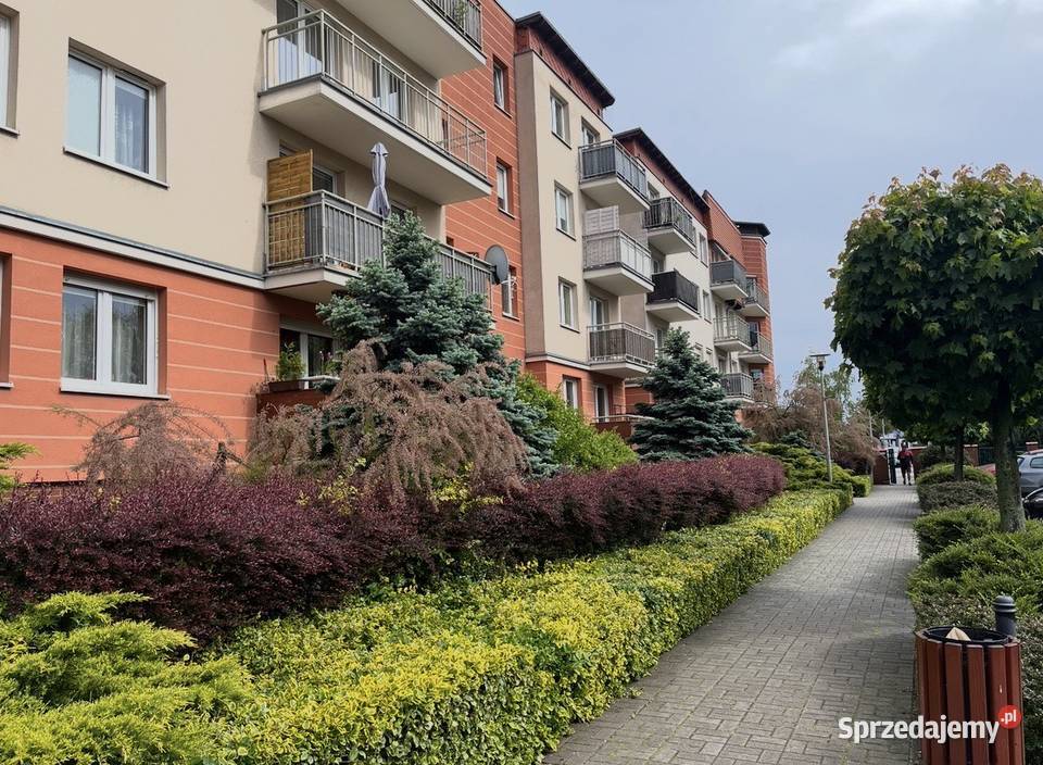 Mieszkanie 2pok 51m2 Jagodno Vivaldieg Sprzedaż Wrocław