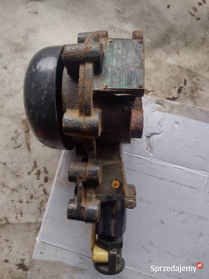 Dzwonek grzechotkowy Gołcza