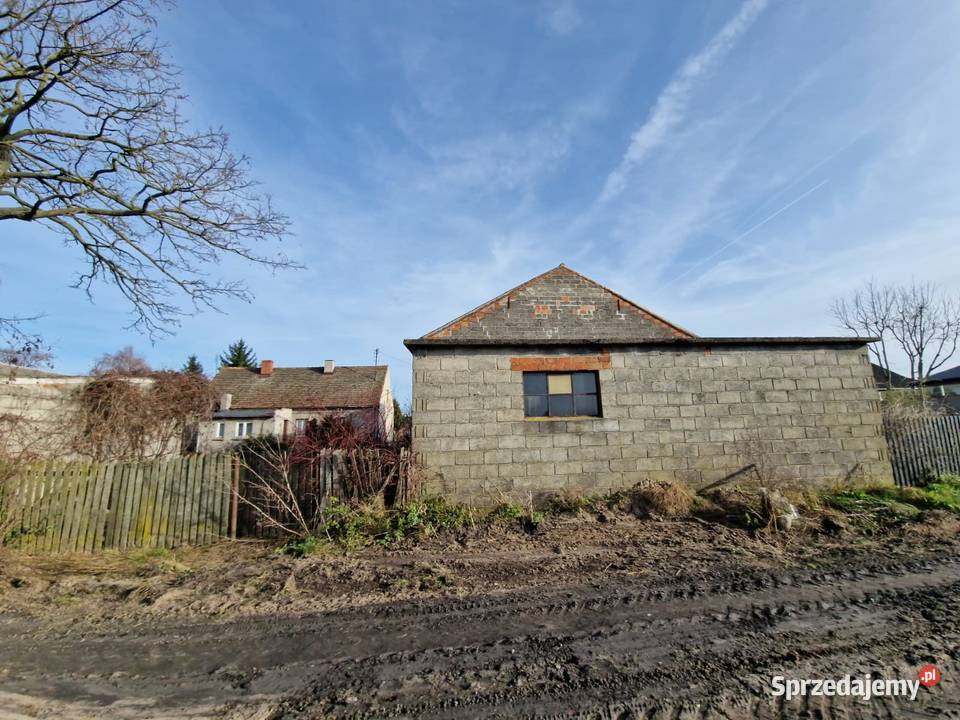 Działki rolne klasy IVV Biskupice gm Grodziec Biskupie