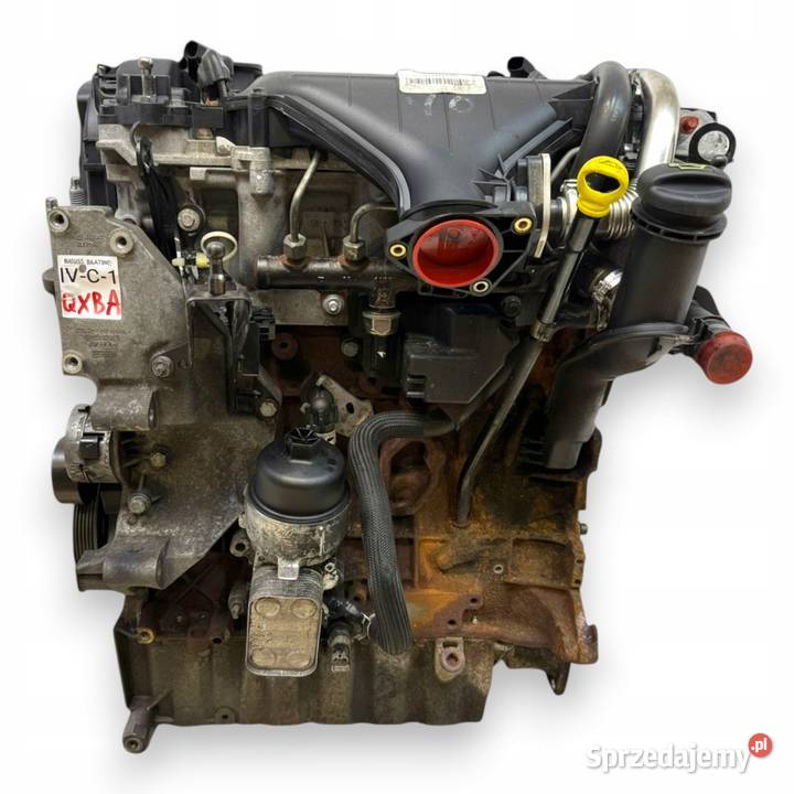 SILNIK QXBA Ford Mondeo IV MK4 20 TDCI 140 osobowe Silniki kompletne lubelskie Chełm