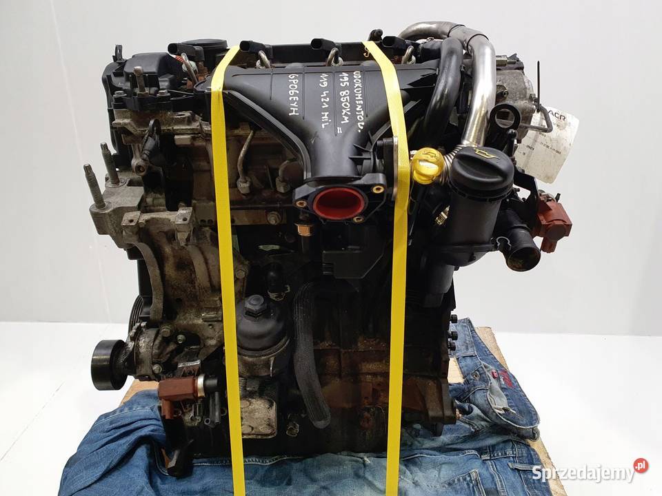 SILNIK G6DA Ford Focus II MK2 20 TDCI 136 osobowe lubelskie Rudka