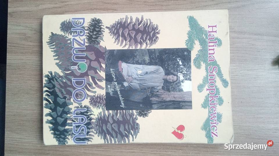 Drzwi do lasu mazowieckie Warszawa