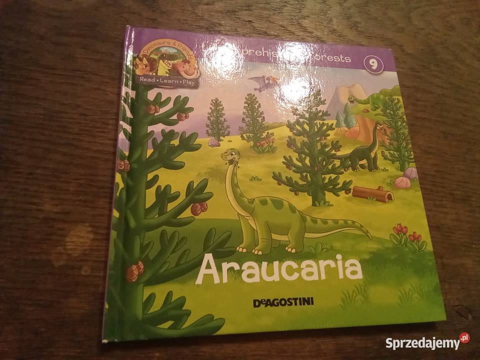 Dinosaurs and friends Araucaria angielsku twarda Warszawa