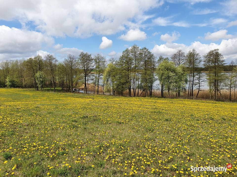 Działka linii brzegowej jeziora warmińsko-mazurskie Skomack Wielki sprzedam