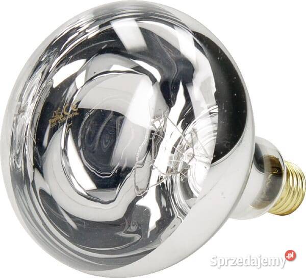 Promiennik HardGlass 150W biały 802001FA małopolskie Kamionna