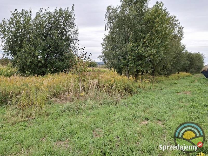 Kobylany gm Zabierzów płaska 35arowa działka sprzedam