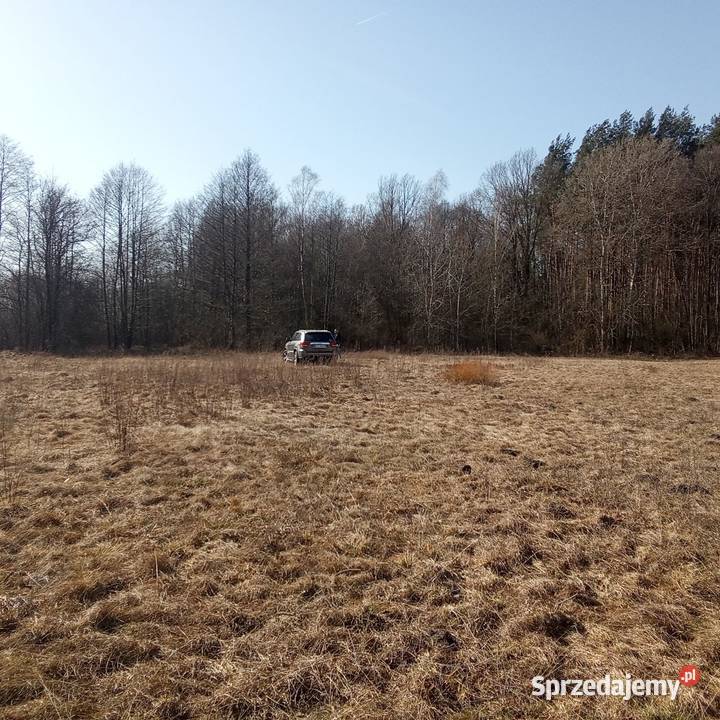 Zygmunty 3 028 m WZ dojazd asfalt