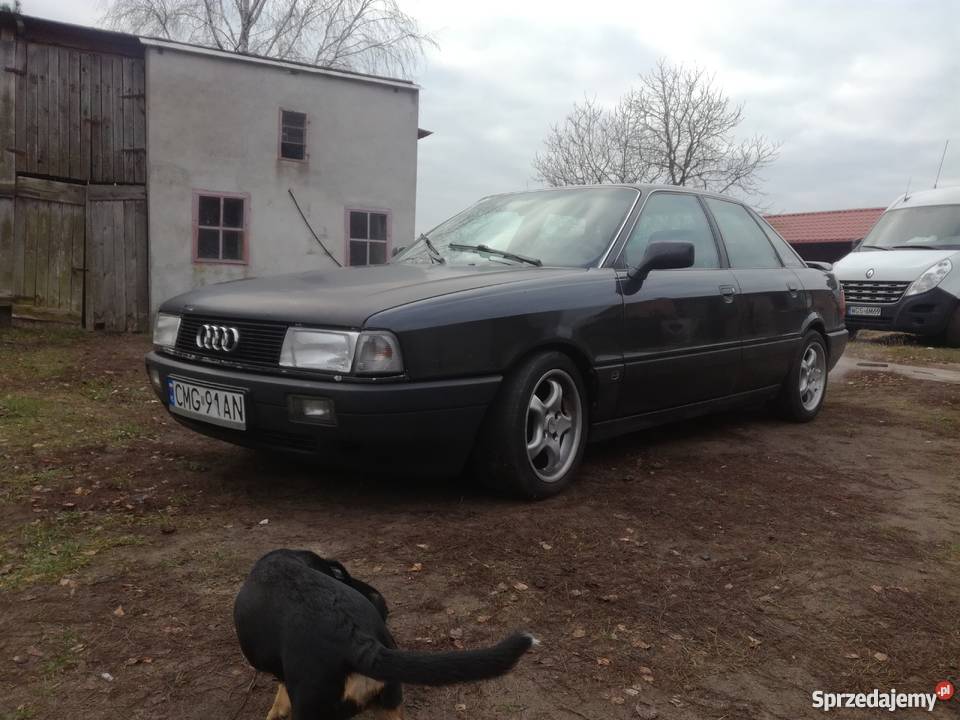 Audi 80 B3 16td 80 Comfort Edition Rok produkcji 1991 Włocławek