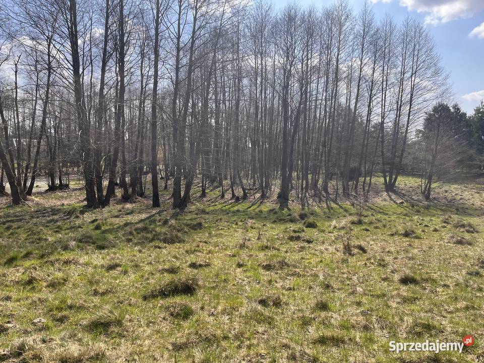 Działka rolnobudowlana Bydgoszcz