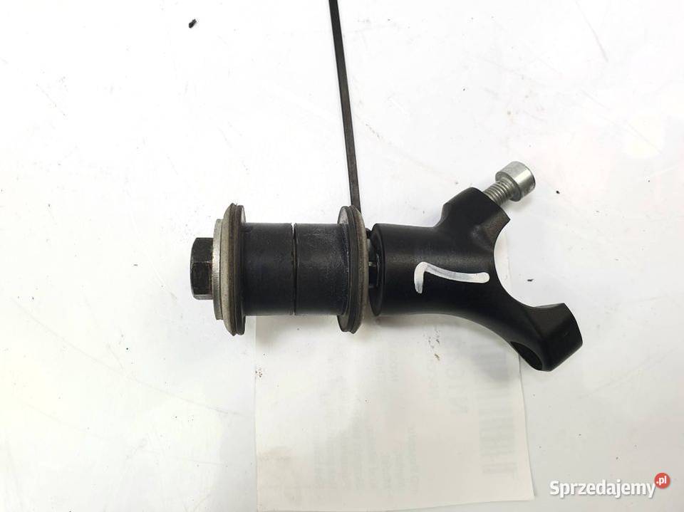 MOCOWANIE INDIAN CHIEF DARK HORSE Lipno