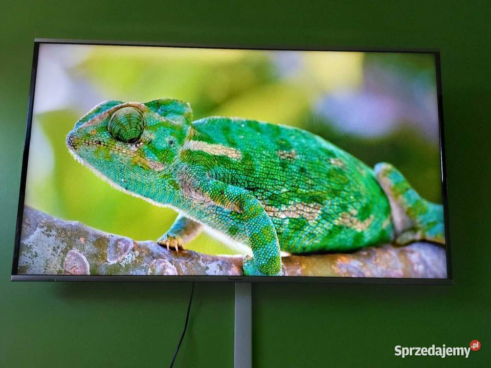 Telewizor 55 podkarpackie