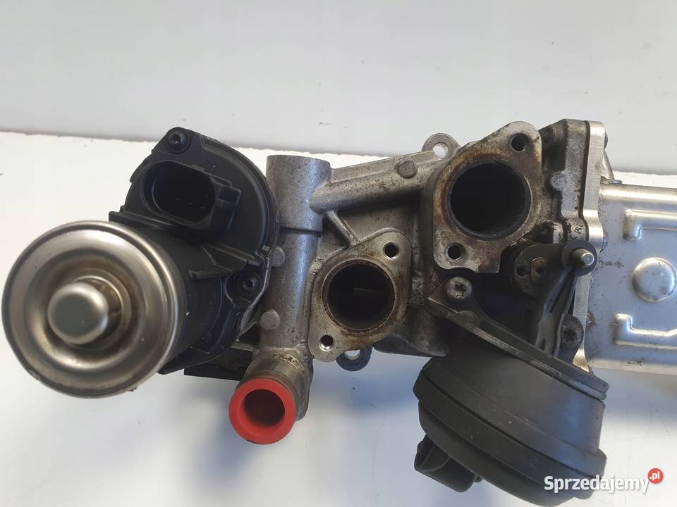 Audi A3 II 8P 16 TDI CHŁODNICA SPALIN egr osobowe Janów
