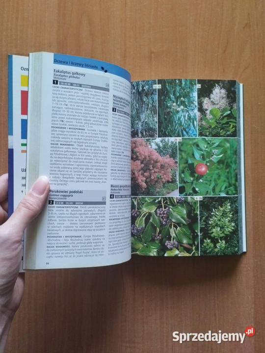 Książka Wielki atlas drzew i krzewów Książki naukowe i popularnonaukowe Katowice