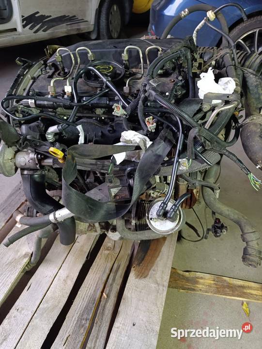 Silnik Ford 20 tdci duratoq Świebodzin
