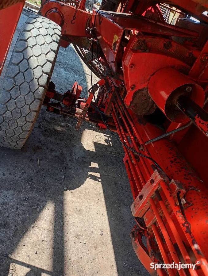 Kombajn do ziemniaków grimme 750 Marynowy