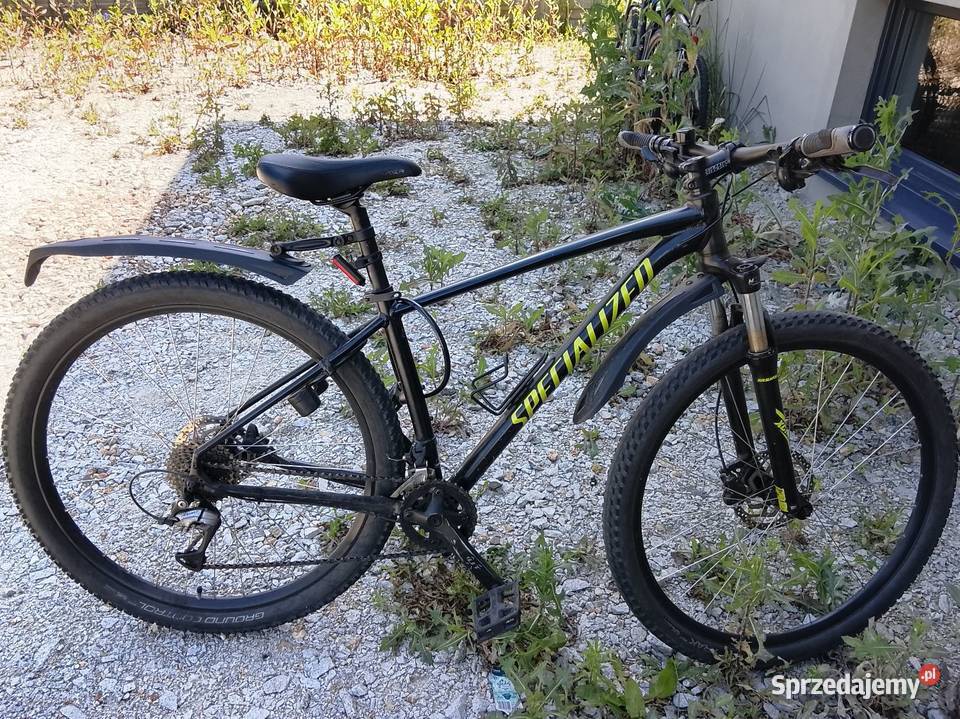 Rower Specjalized Leszno