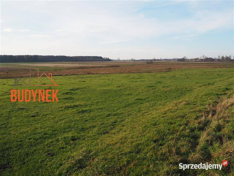 Działka rolna Krupy 42m