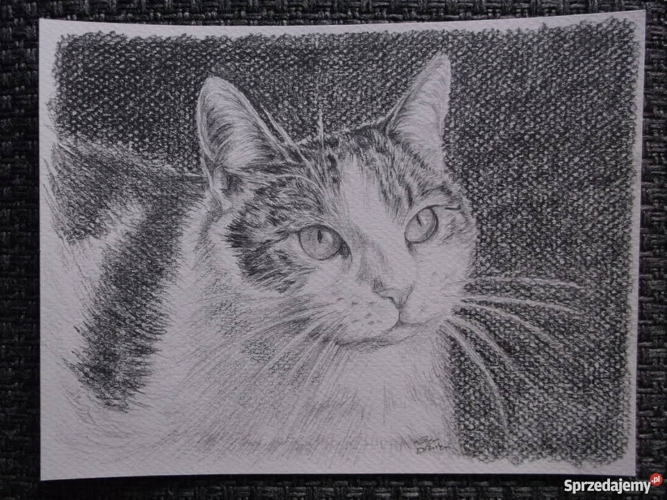 Wykonam portret na zamówienie Oryginalny prezent dolnośląskie Wrocław