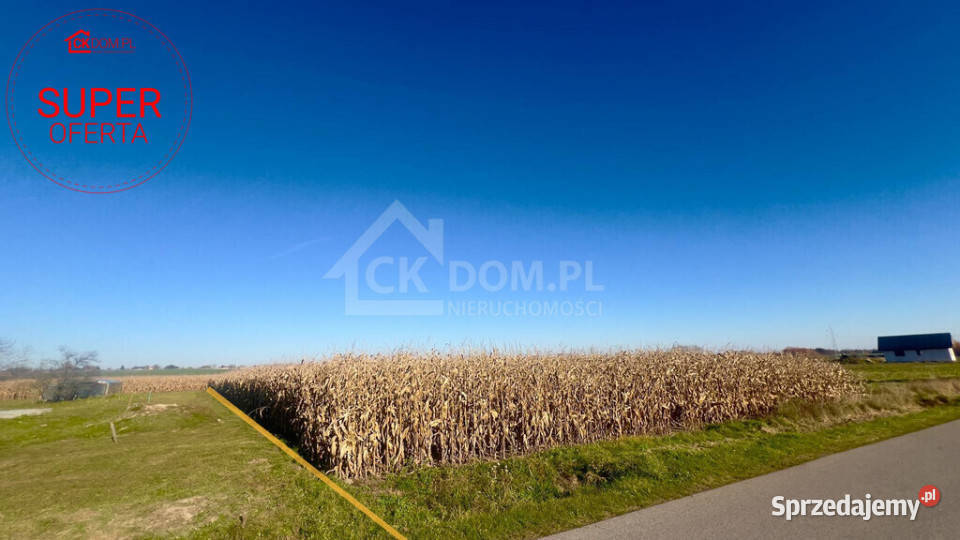 Wyjątkowa działka budowlana 1571 m Sielec Sprzedaż