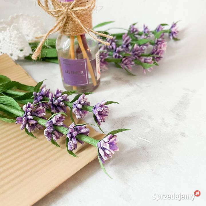 Lawenda z krepiny włoskiej Dom i Ogród lubuskie Zielona Góra