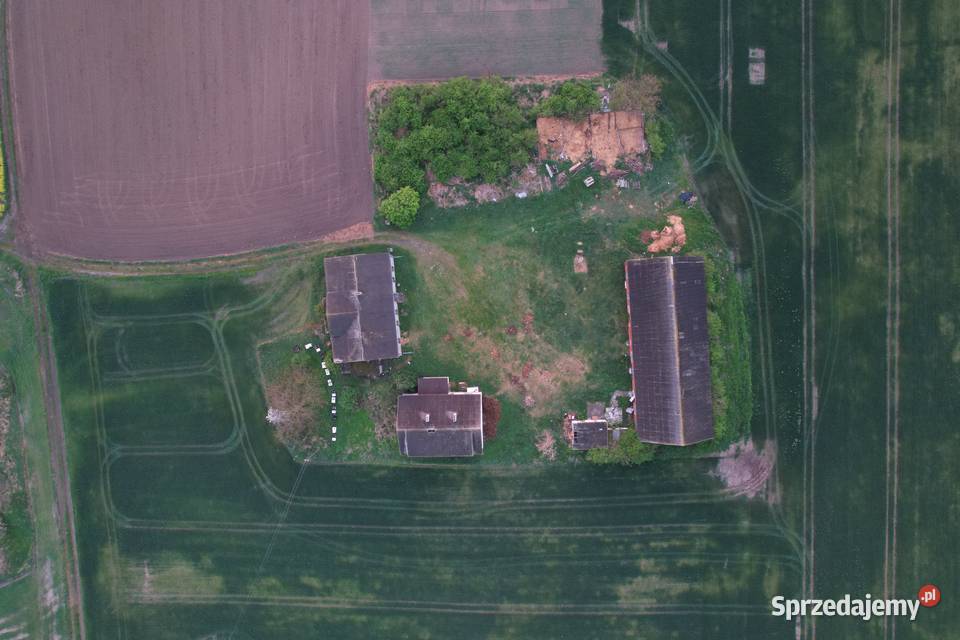 Działka siedliskowa o powierzchni 070 ha 221m2 Sprzedaż