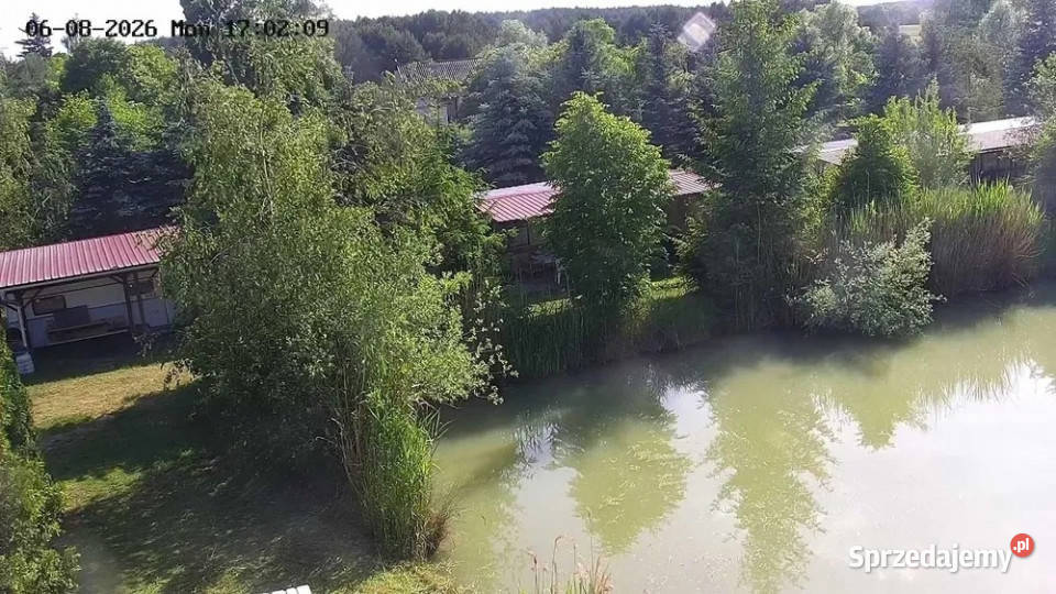 Gotowy biznes Fisch Camp Ownice łowisko Sprzedaż sprzedam
