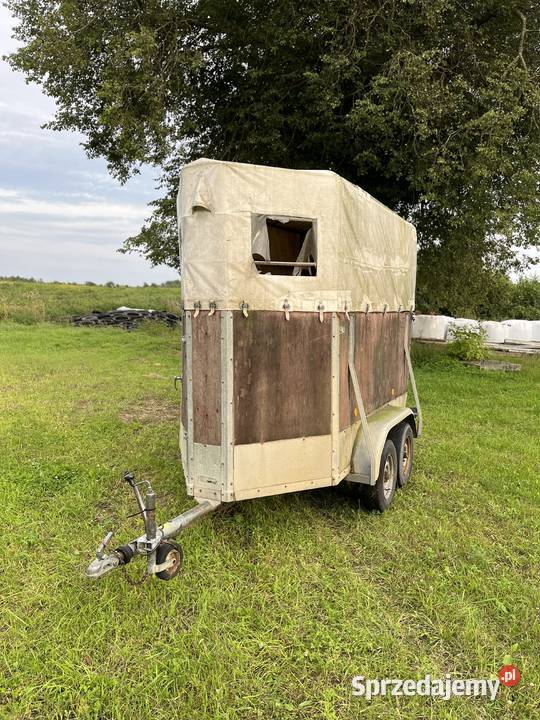 Przyczepa do koni Sierakowice