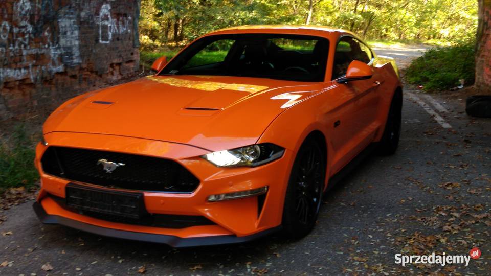 FORD MUSTANG 50 V8 450 SALON POLSKA 112020 komputer pokładowy lubuskie Zielona Góra